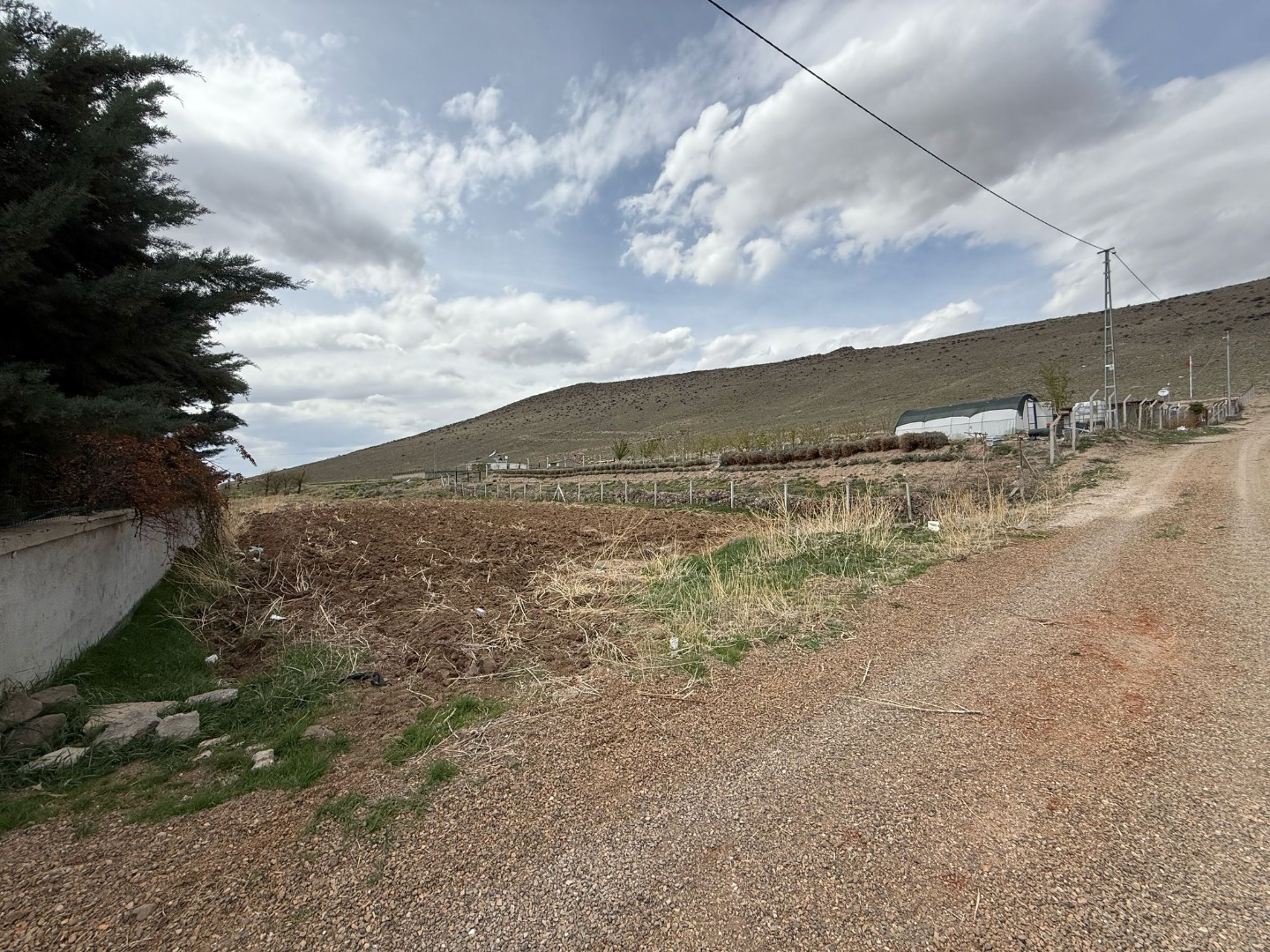 KAYSERİ DEVELİ ZİLE MAHALLESİ OYNARLAR MEVKİİNDE SATILIK BAHÇE